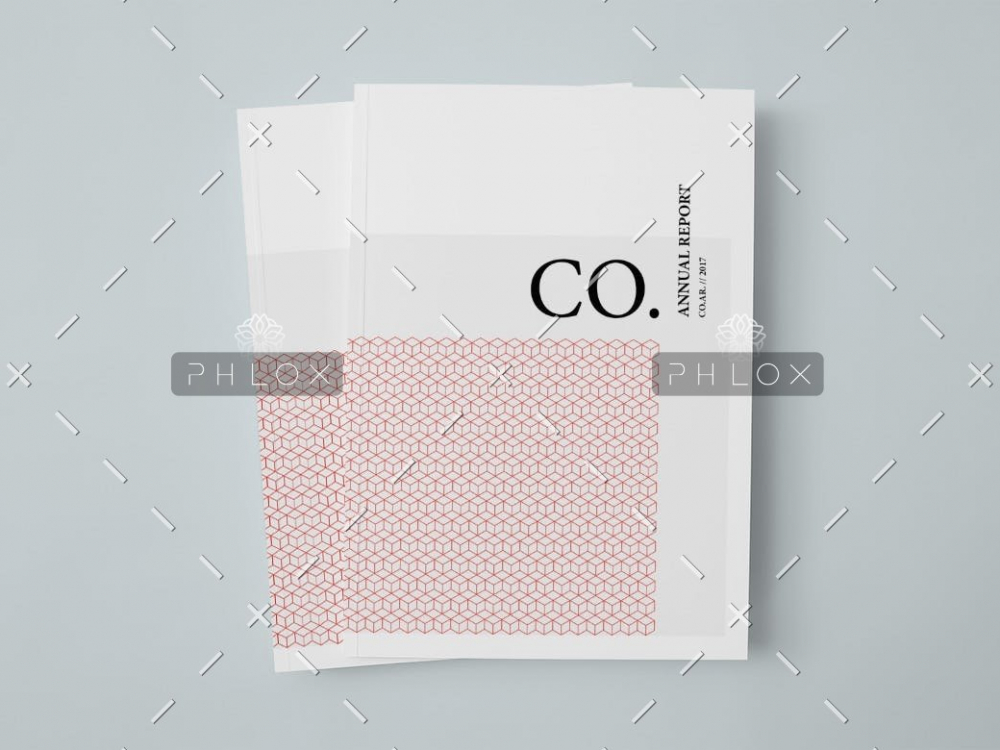 demo-attachment-216-CO.-Annual-Report-1